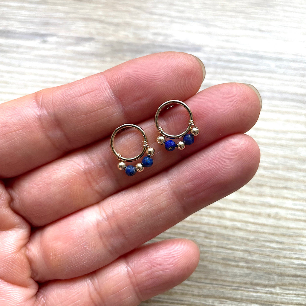 puces-lapis-lazuli-main