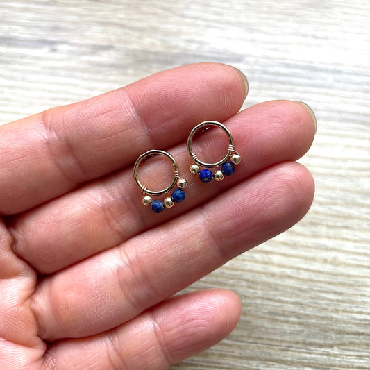 puces-lapis-lazuli-main